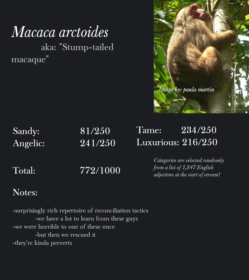 Macaca arctoides